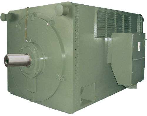 Asynchronmotor - HV series - FIMET Motori & Riduttori S.p.a. - AC / 6000 V / elektrisch isolierend