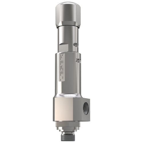 Gassicherheitsventil - 439 - LESER GmbH & Co. KG - NPT / DIN / Niederdruck