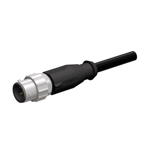 Steckverbinder / M12 A-kodiert - CONEC Elektronische Bauelemente GmbH - Daten / umspritzt / rund