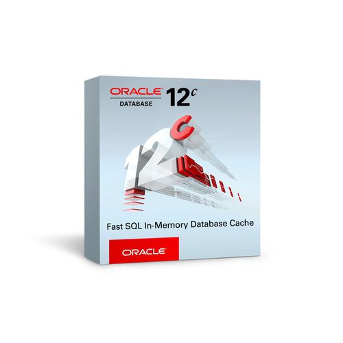Datenbank-Software - TimesTen series - Oracle - Architektur