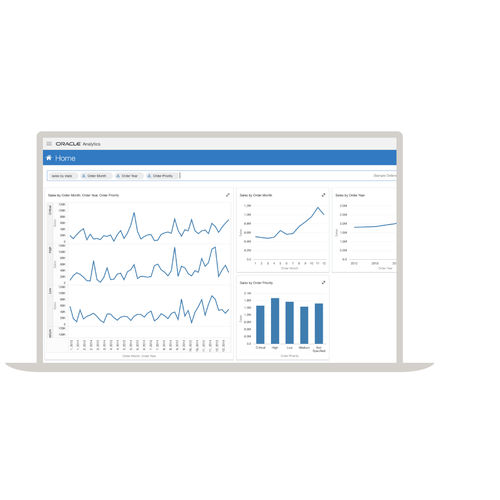 Analysesoftware - Analytics - Oracle - Schnittstellen / Visualisierung / Reporting