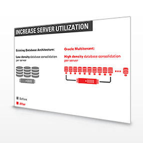 Management-Software - Multitenant - Oracle - Entwicklungs / Konfiguration / Datenbank