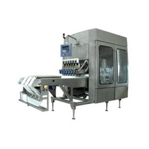 Abfüll- und Verpackungsmaschine / für Eiscreme - GMW - Gram Equipment