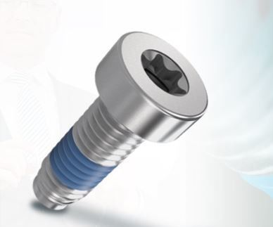 Sicherheitsschraube - ThreadLoc - Arnold Umformtechnik GmbH & Co. KG - Verbindung / Zylinderkopf