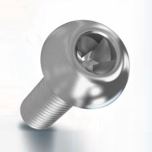 Sicherheitsschraube - LocTec® - Arnold Umformtechnik GmbH & Co. KG - mit gewölbtem Zylinderkopf / Feststell