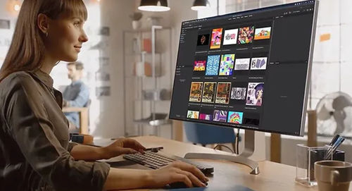 Lizenzmanagement-Software - Bridge  - ADOBE - Entwicklung / Ausgabe / Farb