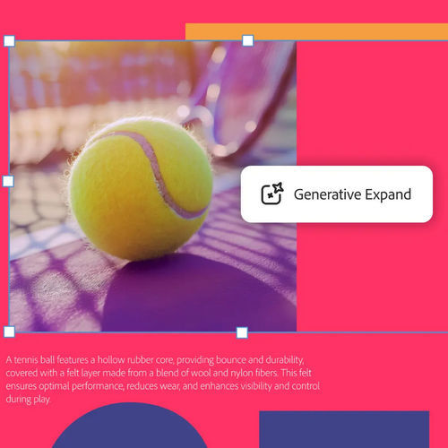Entwicklungssoftware - InDesign - ADOBE - Projektentwicklung / Grafik / Ausgabe