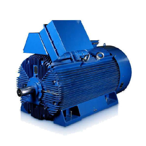 Hochspannungsmotor - Sh560H2B - Cantoni Motor - Synchron / dreiphasig / 6000 V