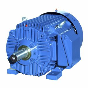 Induktionsmotor - SIE286TS2 - Cantoni Motor - dreiphasig / 460 V / Gusseisen
