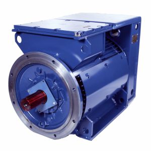 Synchronmotor - 3SGf250M6-E - Cantoni Motor - dreiphasig / 500 V / Käfigläuferrotor