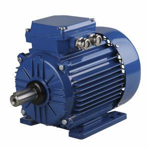 Synchronmotor - ExSh90S-4-3G T3 - Cantoni Motor - dreiphasig / 400 V / Aluminium