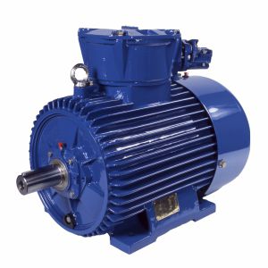 Synchronmotor - (E)CSg(b)80-2A - Cantoni Motor - dreiphasig / 400 V / Käfigläufer