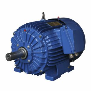 Synchronmotor - ExSg112M-6-2G T4/2D - Cantoni Motor - dreiphasig / 400 V / Aluminium
