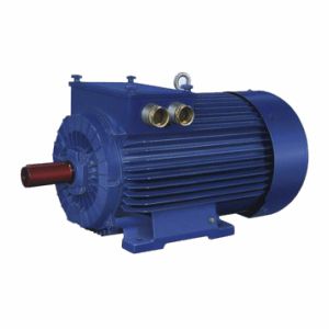 Motor mit Schleifring - SUg355L6 - Cantoni Motor - Synchron / dreiphasig / 380 V