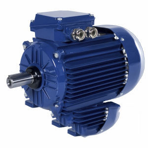 IE2-Motor - 2SIE90L4 - Cantoni Motor - dreiphasig / Induktion / 400 V