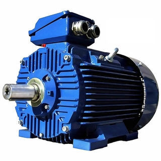 Induktionsmotor - 3SIE80-2A - Cantoni Motor - AC / 400 V / 380 V