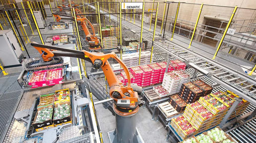 Palettierer und Depalettierer / Roboter - AMCAP - DEMATIC - Schicht / für Paletten / Kisten