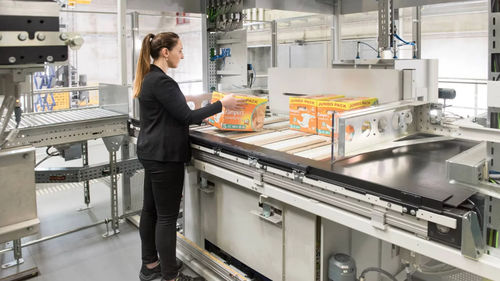 Palettierer für Pakete - DEMATIC - Paletten / für Lebensmittel / zur Förderung
