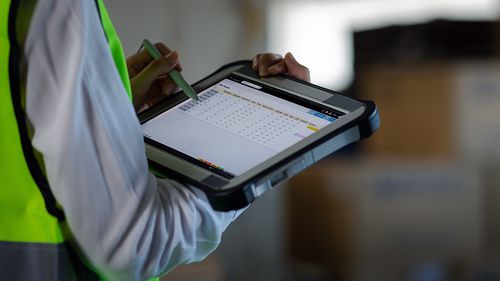 Automatisierungssoftware - WES - DEMATIC - Lagerverwaltung WMS / Planung / Auslauf
