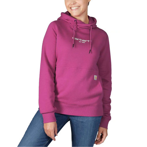 Arbeits-Sweatshirt - 105573 - Carhartt workwear - Kälteschutz / Polyester / Baumwolle