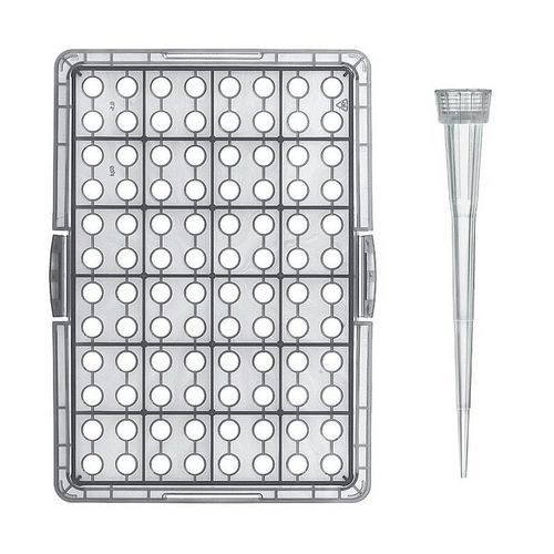 Polypropylenpipettenspitze - 148894 - VITLAB - für Laboranwendung