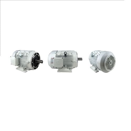 Asynchronmotor - WX3-AL-TF Series - Techtop - dreiphasig / IP56 / 4-polig