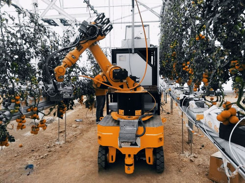 FTS für Materialumschlag - DTA - für die Lebensmittelindustrie / mit kollaborativem Roboter