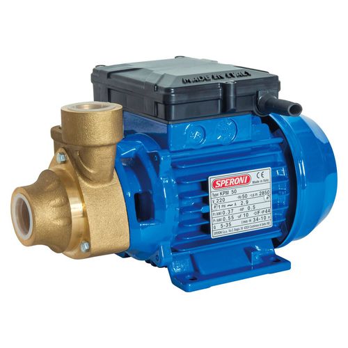 Impellerpumpe - KPM-BR - Speroni - Wasser / elektrisch / stationär