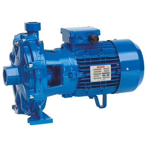 Kreiselpumpe - 2 CM 25 series - Speroni - Wasser / elektrisch / stationär