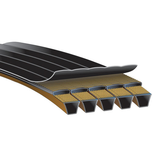 Keilriemen - PREDATOR® POWERBAND® - Gates - Chloropren / Neopren / für Riemenscheiben