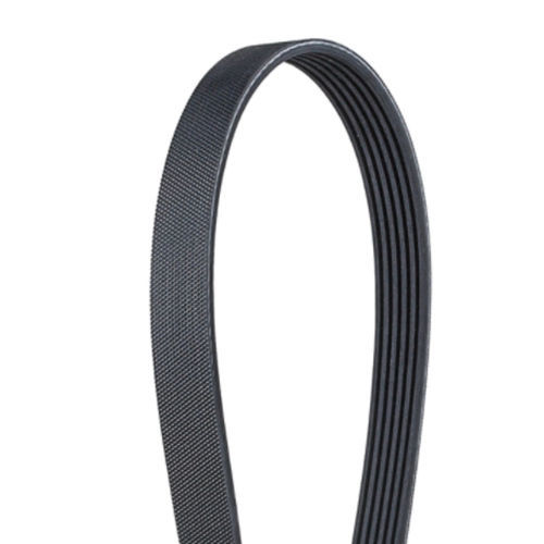 Keilrippen-Treibriemen - MICRO-V® - Gates - V-förmig / EPDM / Fahrzeug