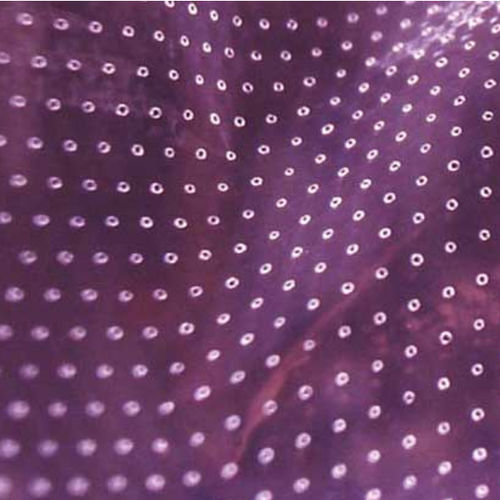 Lochfolie - PMP200 - Diatex - Polymer / aus Polyolefin / thermoplastisch