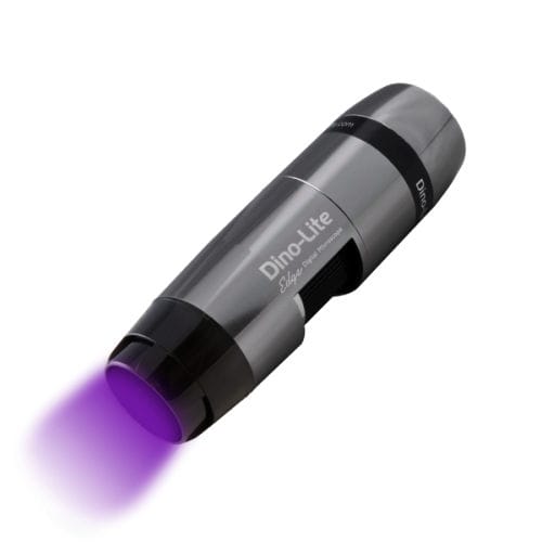 Digitales Mikroskop - AM4517MT-CFVW - Dino-Lite Europe/IDCP BV - Labor / Fluoreszenz / automatisch