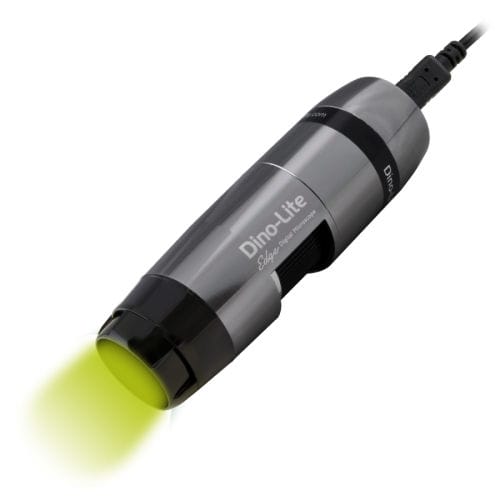 Digitales Mikroskop - AM4517MT-GRFBY - Dino-Lite Europe/IDCP BV - Labor / Fluoreszenz / automatisch