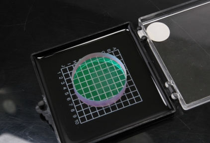 Optischer Polarisator - Dayoptics, Inc. - mit hoher Transmission / Dünnschicht