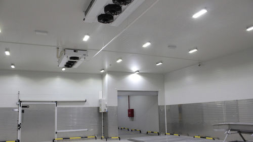 LED-Beleuchtung - CANTEK Cold Storage - Meat Processing - Fluoreszenz
