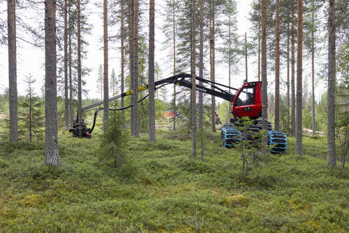 Holzerntemaschine mit Gummireifen - 901XC-7 - KOMATSU Forest