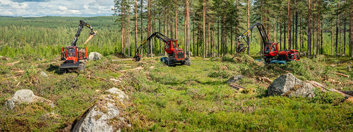 Forwarder - 895-4 - KOMATSU Forest