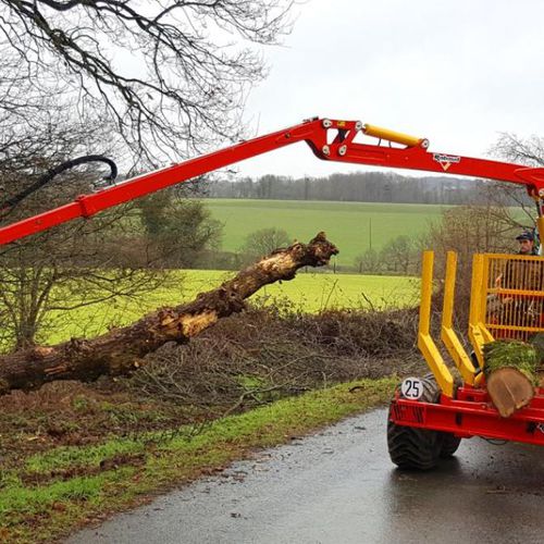 Holzladekran für Harvester - XYLOGRUE - RABAUD