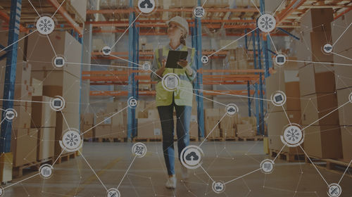 Management-Software - TEKLYNX CENTRAL - TEKLYNX - Schnittstellen / Qualität / Etikettier