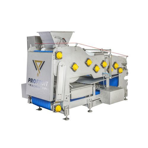 Bandpresse für Obst - POWERPRESS 800 - ProFruit Machinery - für die Lebensmittelindustrie