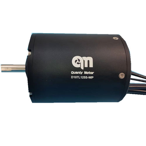 BLDC-Motor - D107L125-WP - Dongguan Tengfei Power Technology Co., Ltd. - DC / 20 V / 80 V