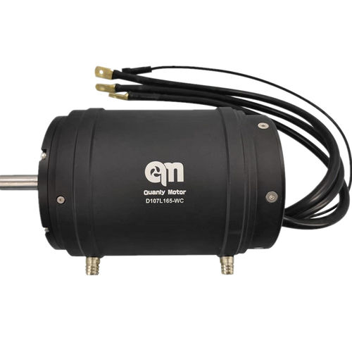 Bürstenloser Motor - D107L165-WC - Dongguan Tengfei Power Technology Co., Ltd. - DC / 110 V / 20 V