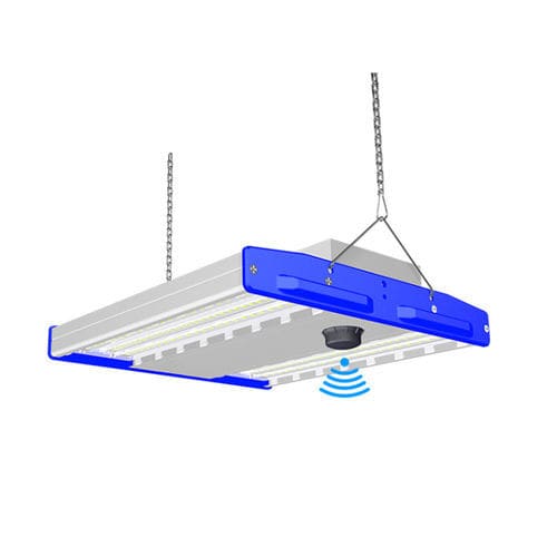 Hallentiefstrahler - HS-HB100W-K5-B - Hishine Group Limited - LED / Infrarot / Werkstatt