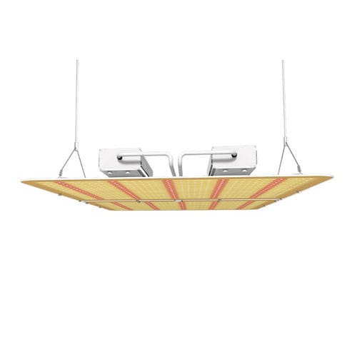 Deckenleuchte -  PG02 - Hishine Group Limited - LED / für Gewächshaus