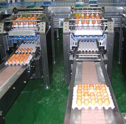 Lebensmittel-Waschanlage / Eier - Shanghai Genyond Technology Co Ltd - automatisch / Band / Spritz