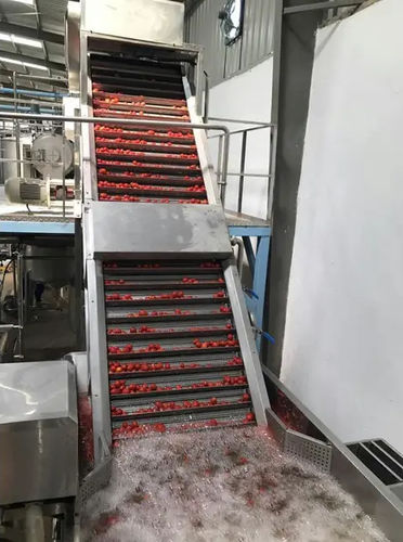 Gemüseverarbeitungslinie für Tomaten - Shanghai Genyond Technology Co Ltd - Wasch / zum Entfernen von Steinen / zum Sortieren