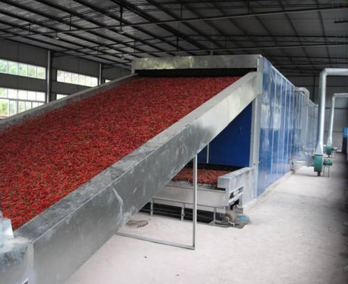 Trockenfrüchte-Produktionsanlage - Shanghai Genyond Technology Co Ltd - automatisch / modular / flexibel