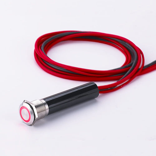 Vandalismussicherer Schalter - L19Y - YUEQING DANPU ELECTRIC ( LANGIR ) CO.,LTD. - Tast / einpolig / robust