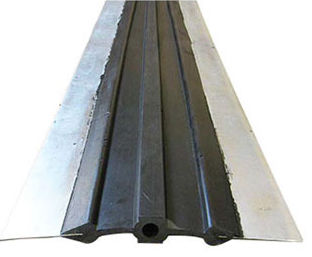 Lippen-Dichtungsstreifen - SHIJIAZHUANG RUISUO SEAL SUPPLIES CO.,LTD - Kupfer / Stahl / Edelstahl